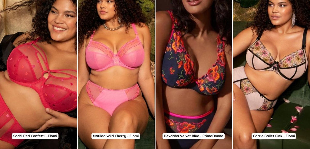 Lingerie grande taille femme Elomi et PrimaDonna en boutique à Paris